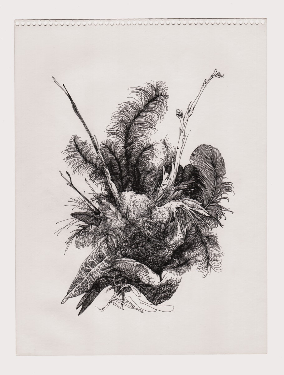 Bird 5 by Lucie Van der Elst 