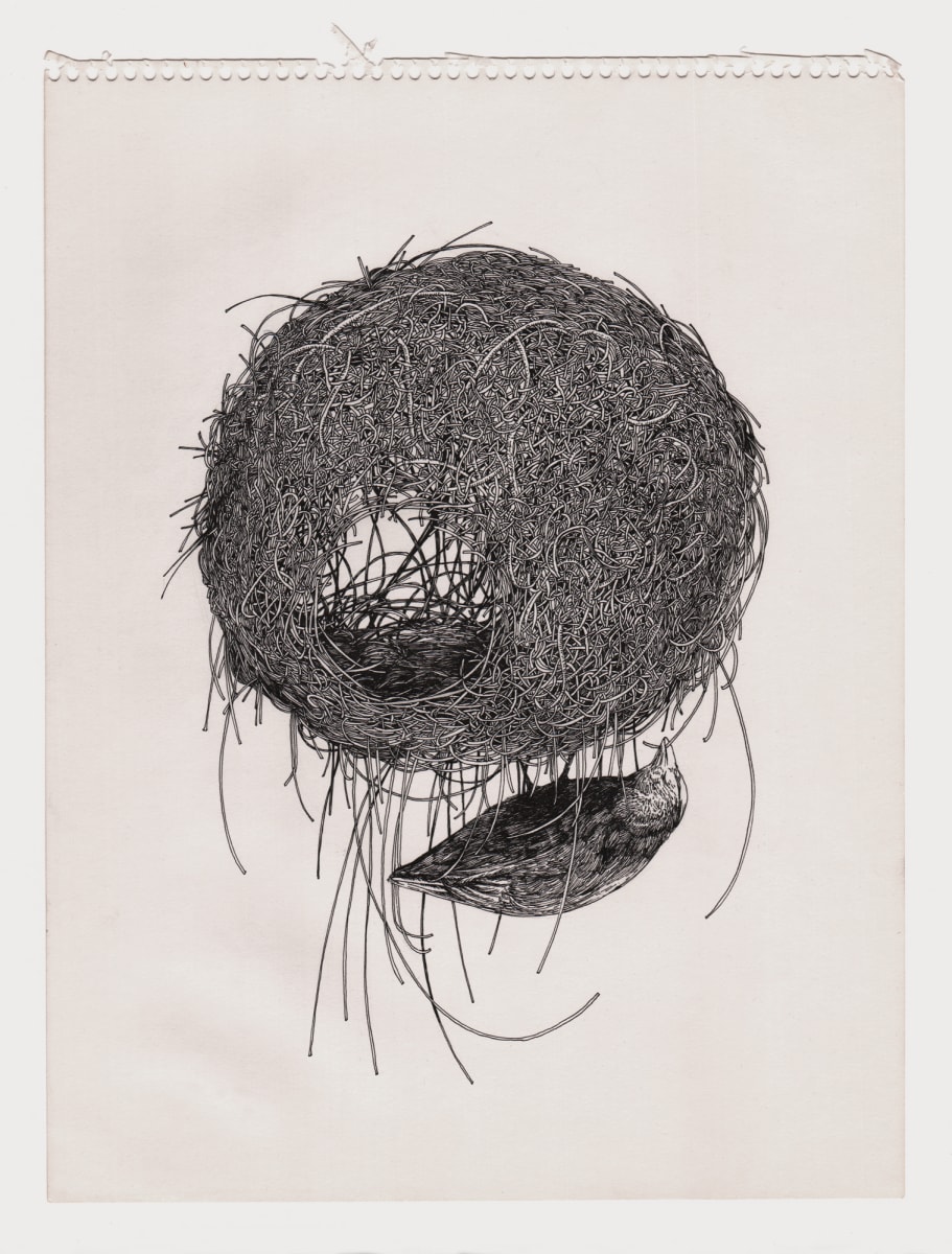 Bird 6 by Lucie Van der Elst 