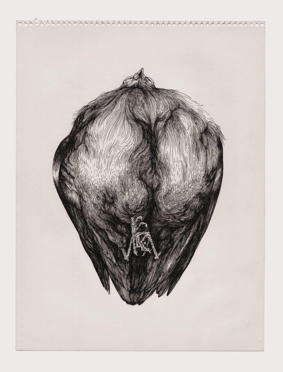 Bird 7 by Lucie Van der Elst 