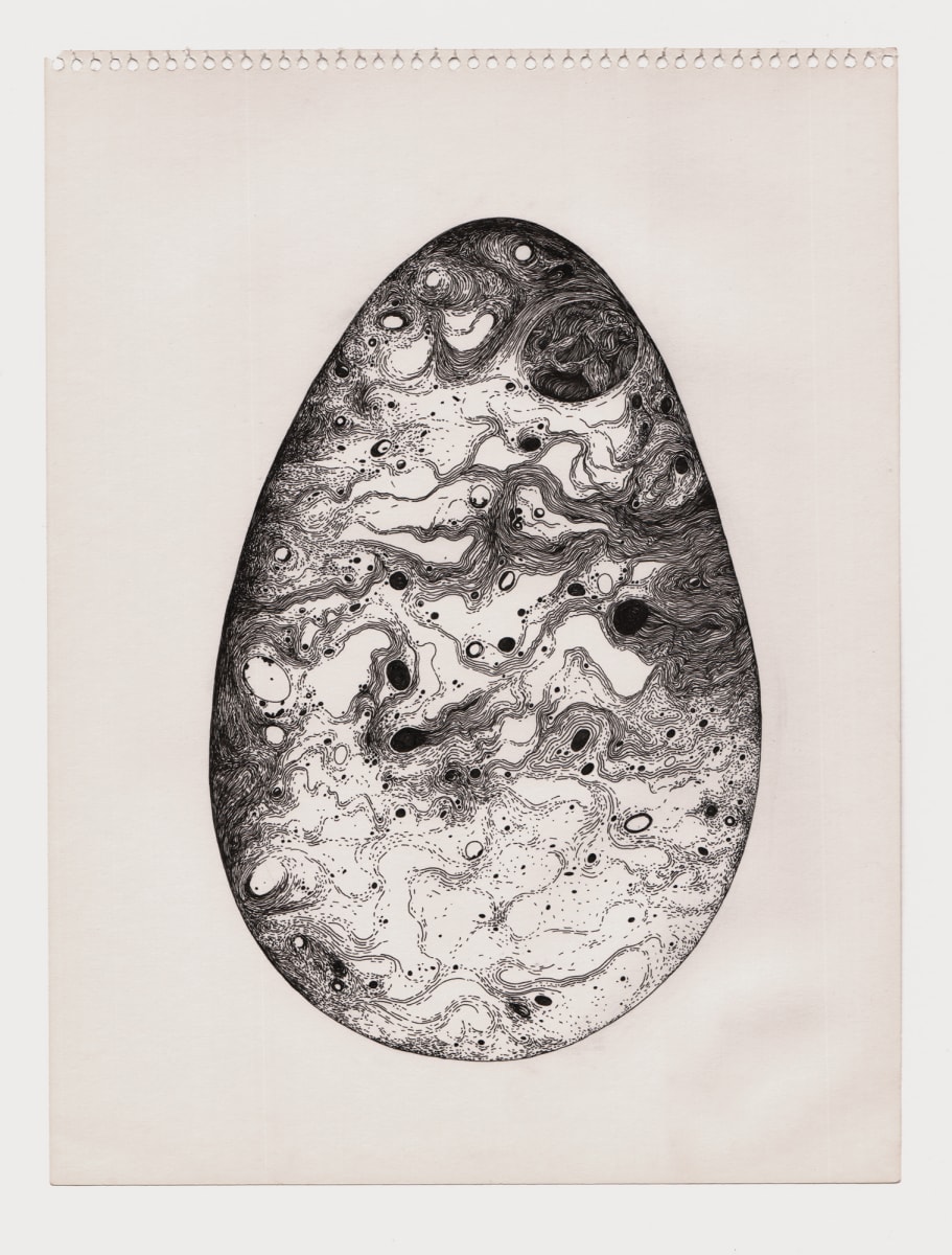 Bird 8 by Lucie Van der Elst 