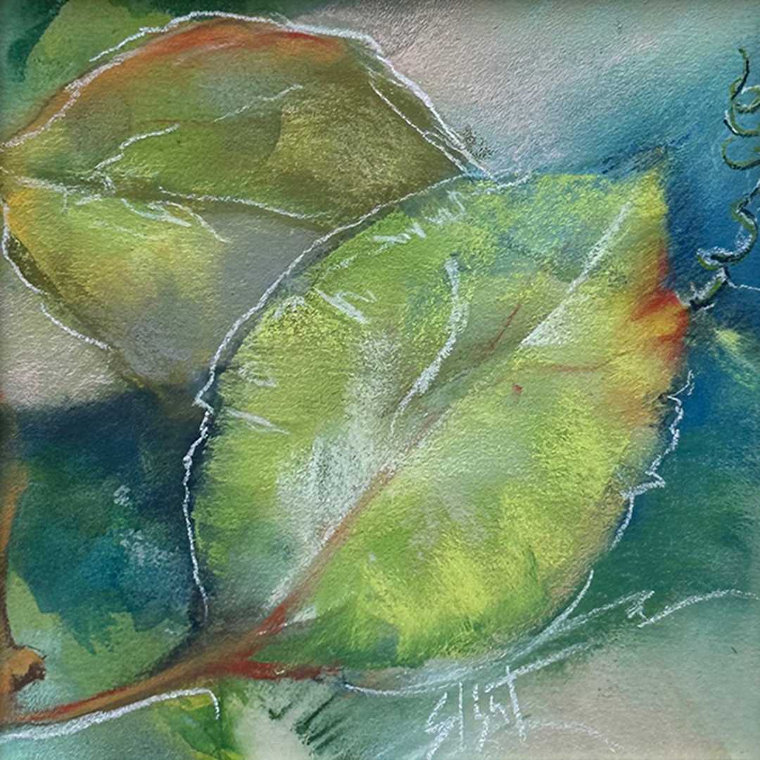 Whiteline by Jan Elbert 