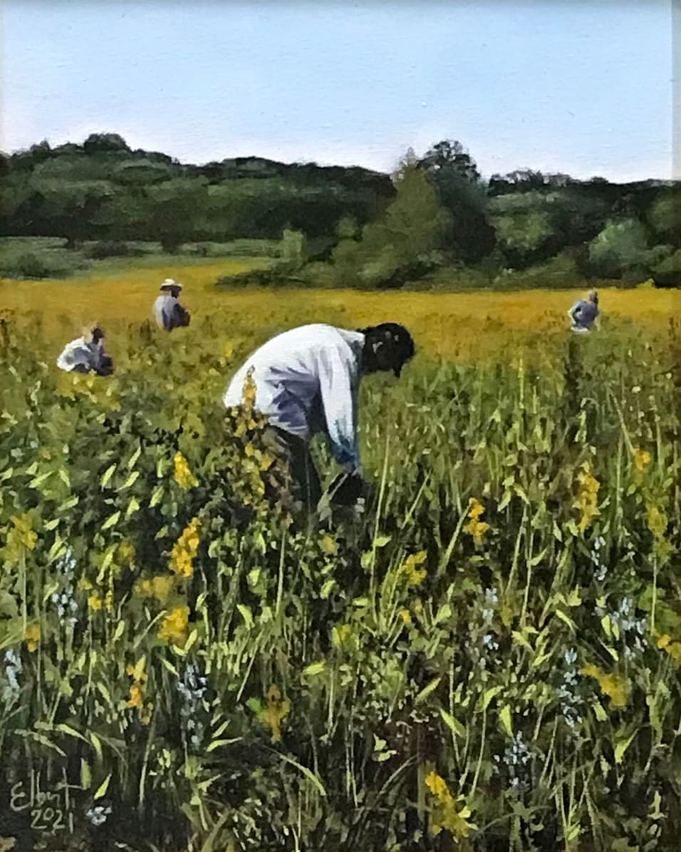 Gathering at Longmeadow by Jan Elbert 