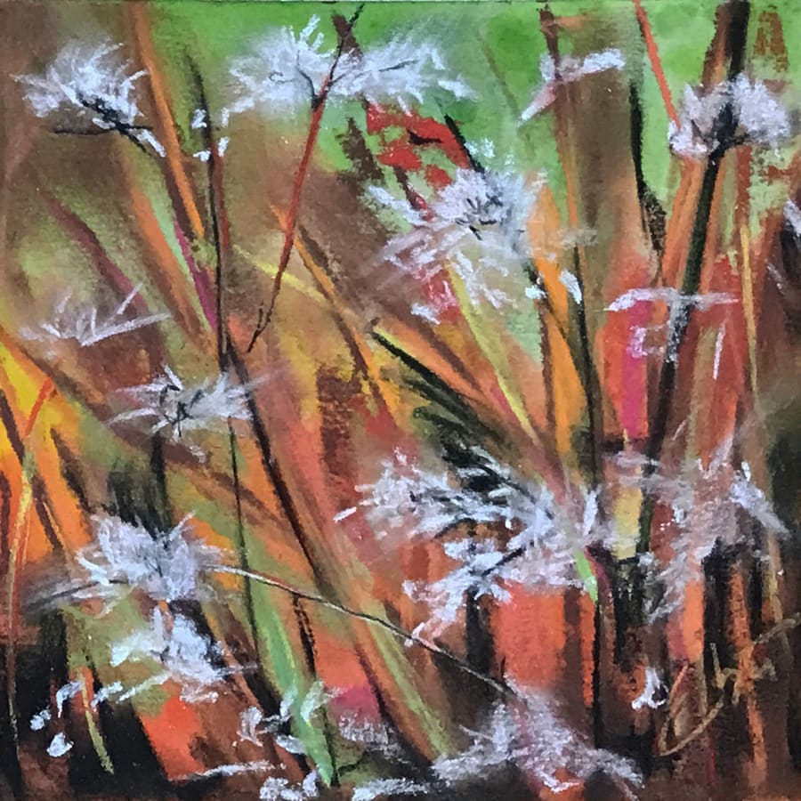 Seed Season by Jan Elbert 