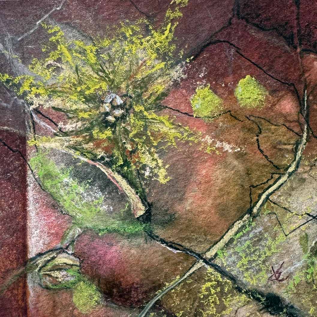 Mini Burst by Jan Elbert 