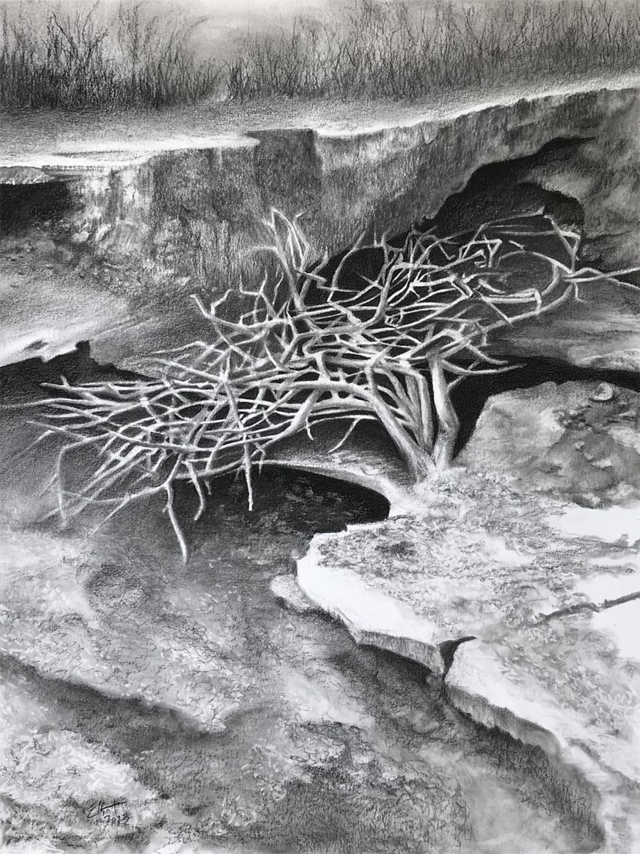 Arroyo by Jan Elbert 