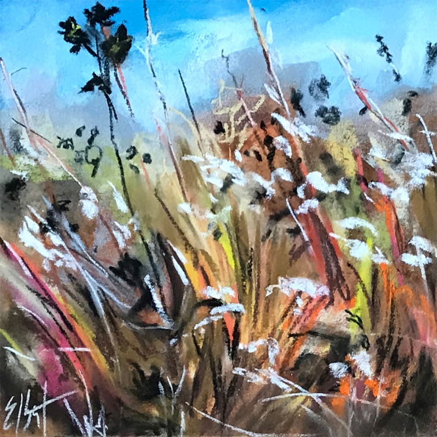 Chasing the Wind by Jan Elbert 