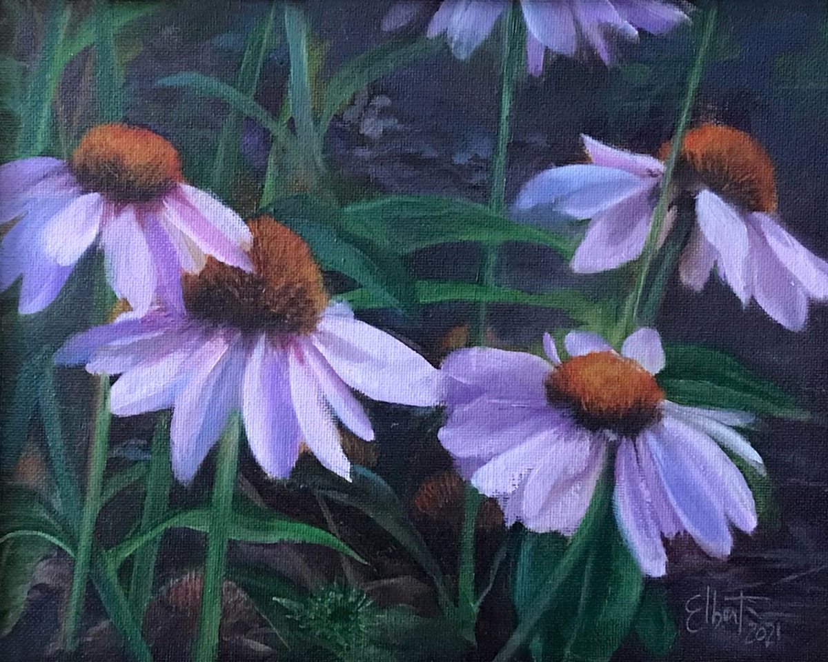 Coneflowers in Focus by Jan Elbert 
