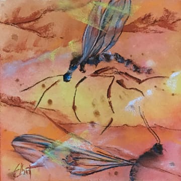 Fossil by Jan Elbert 