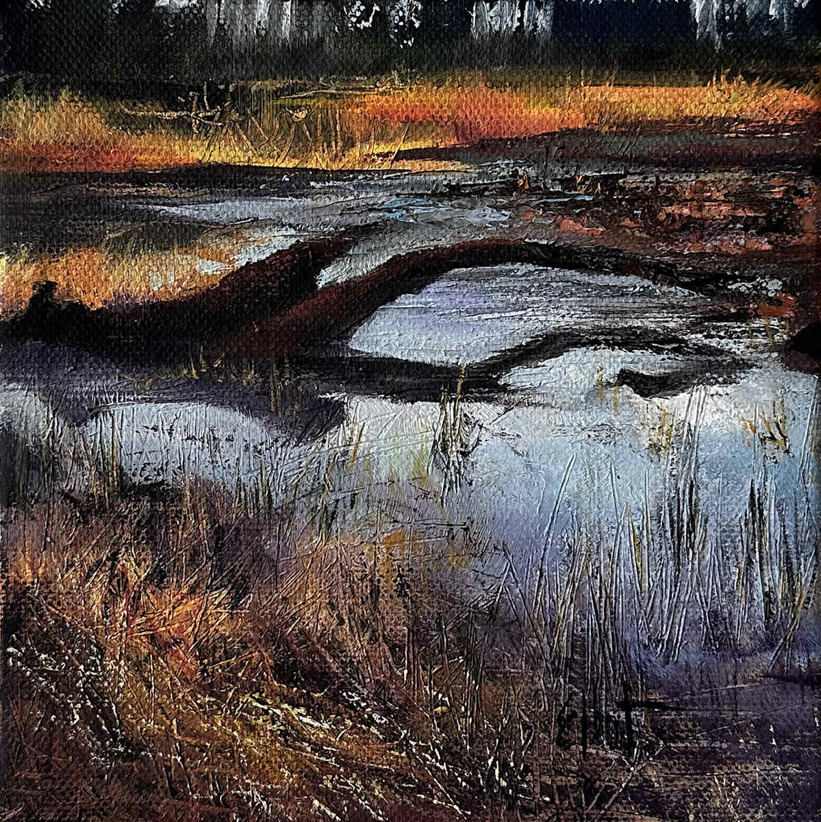 Submerged by Jan Elbert, Image 1.