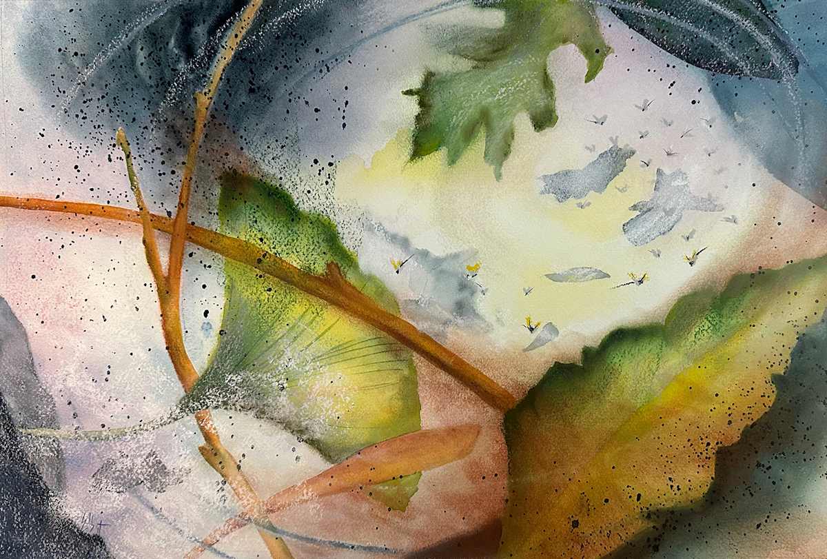 Whirlwind by Jan Elbert 