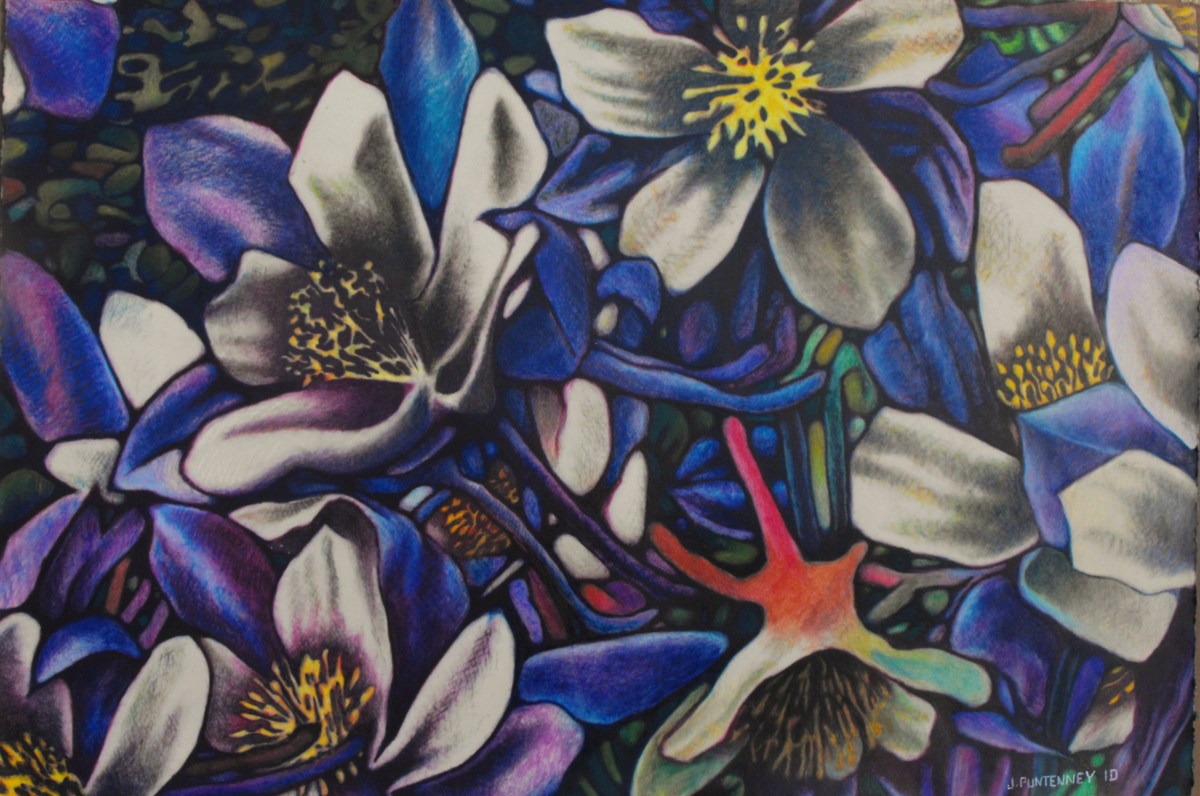 Columbine by John  Puntenney 