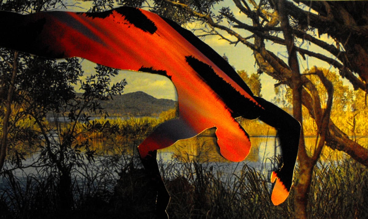 Emerald Bay Commits Suicide By Diving Into The Everglades by John  Puntenney 