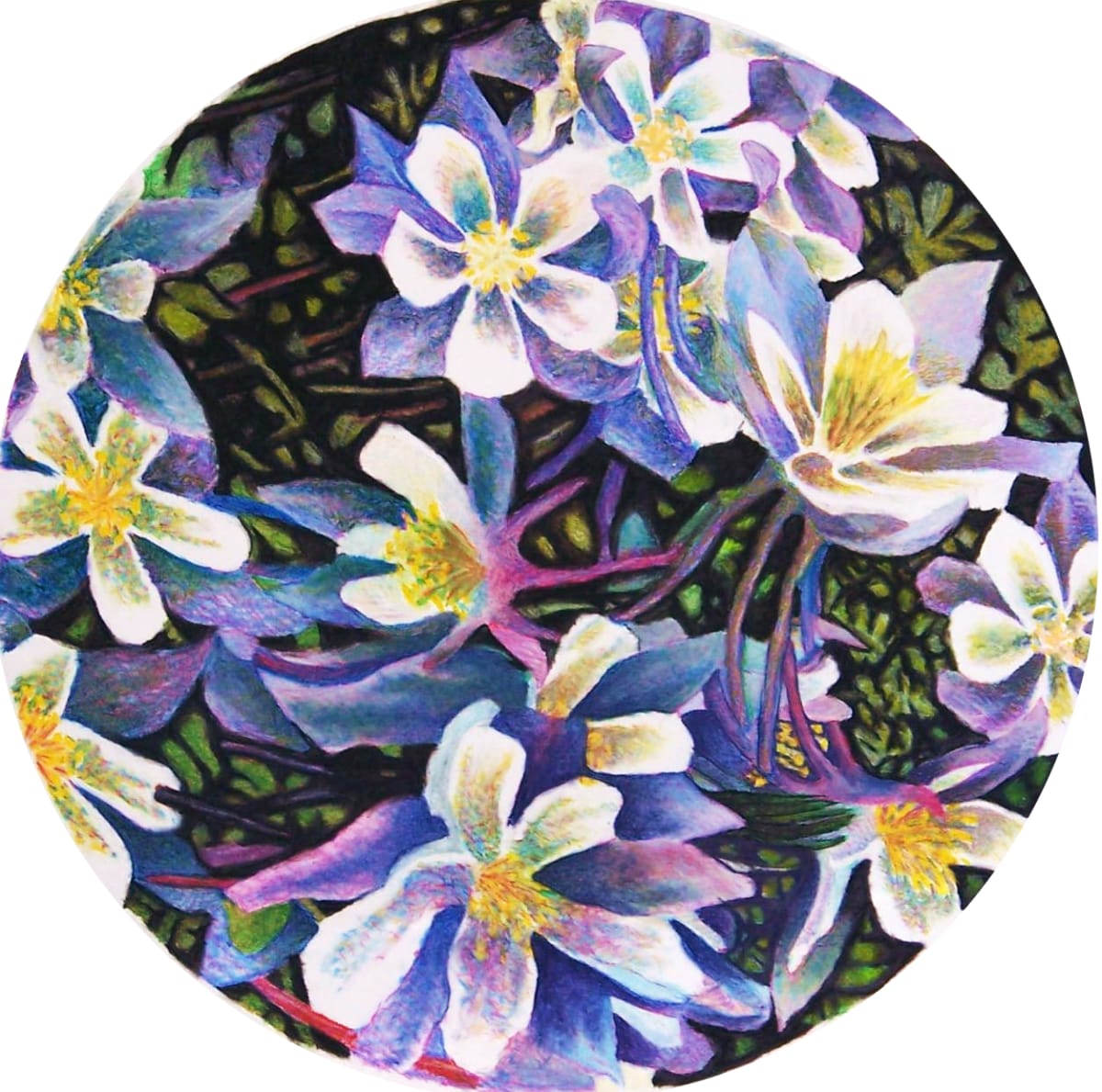 Columbine II by John  Puntenney, Image 1.