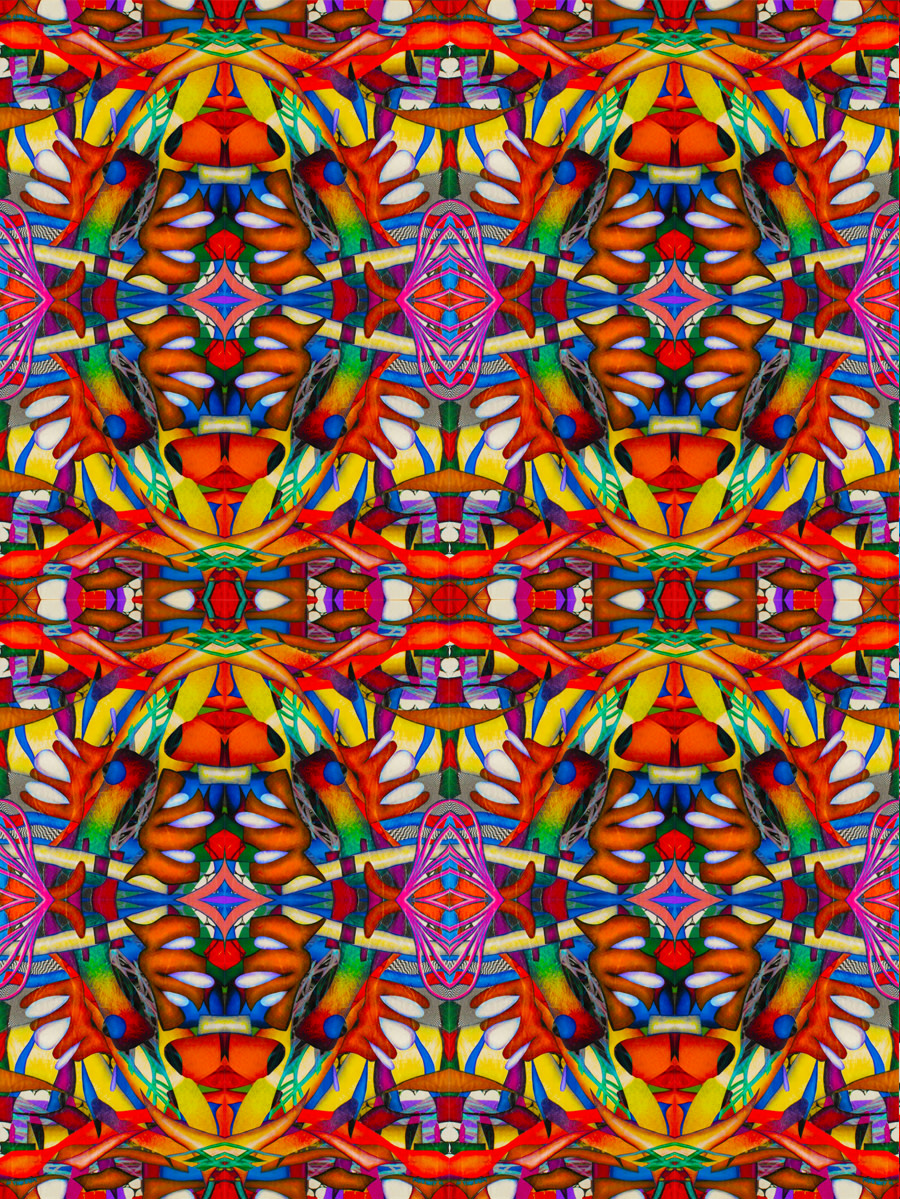 Cockroach Descending A Staircase by John  Puntenney 