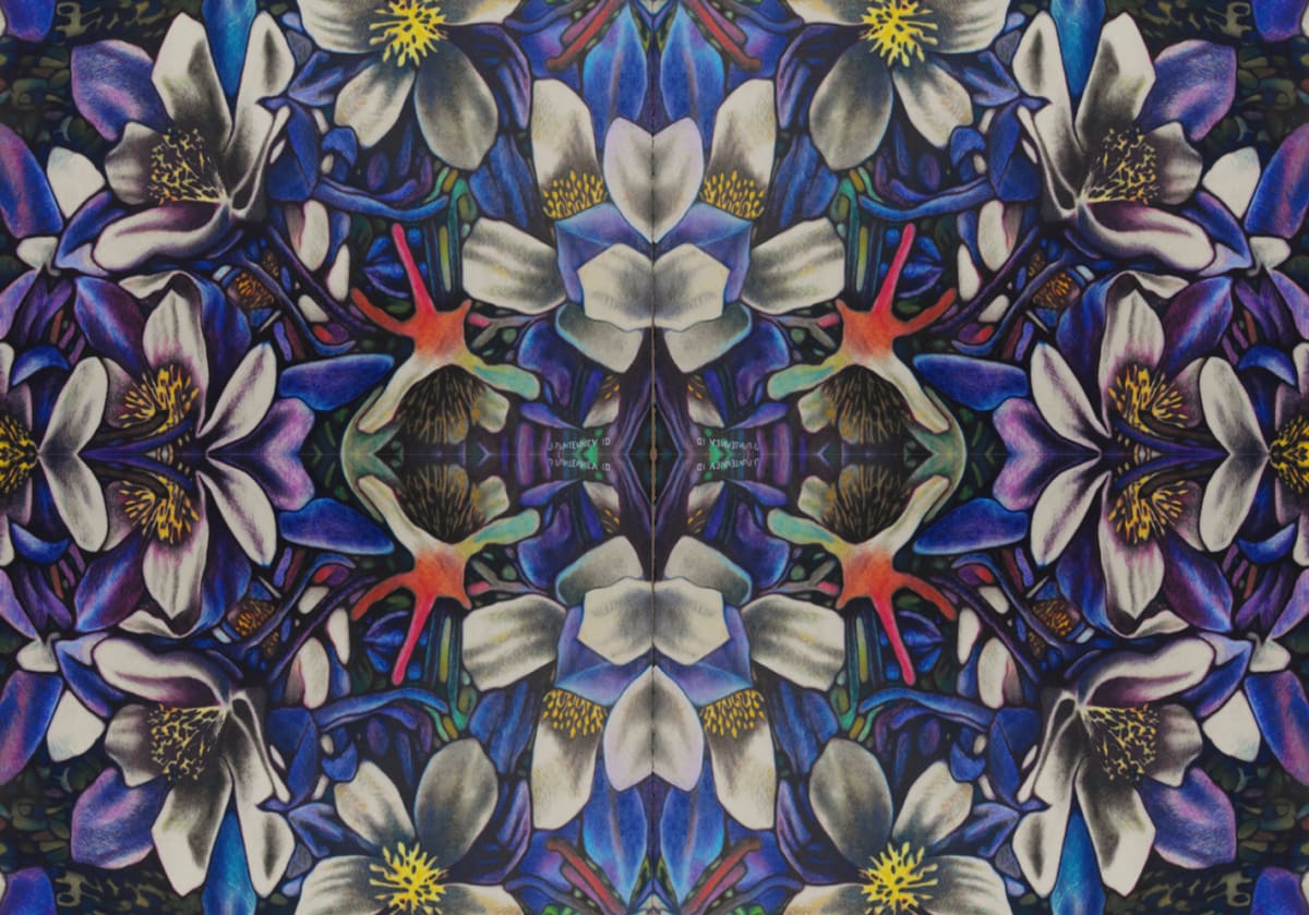 Columbines by John  Puntenney 