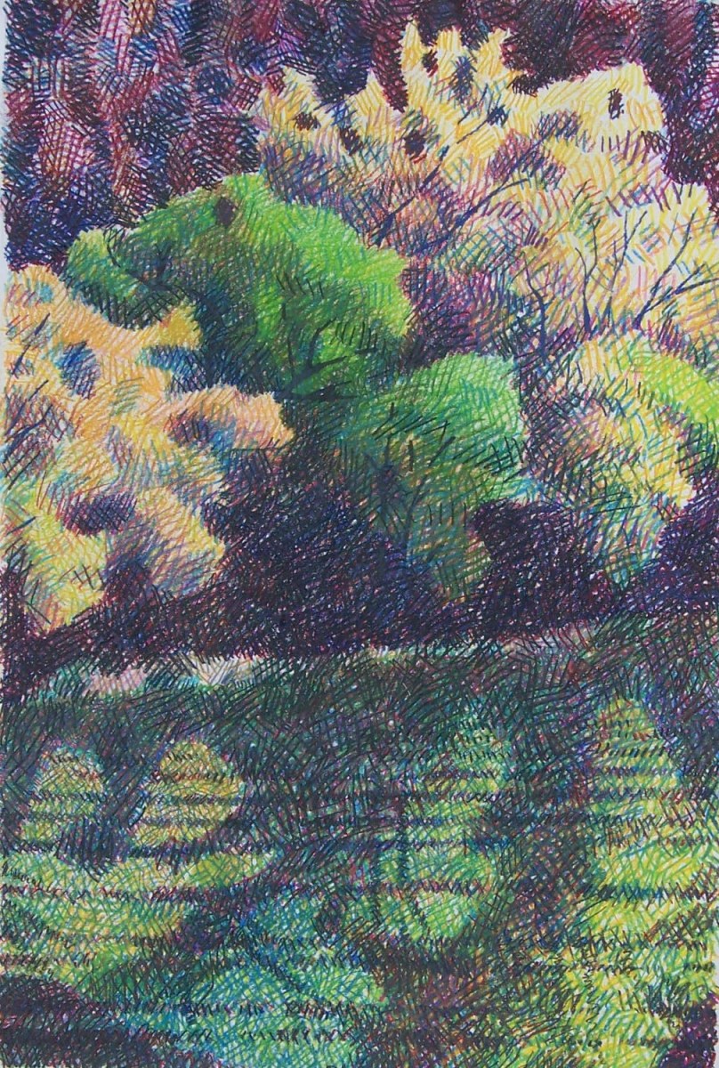 Cliffside Cottonwoods With Reflection by John  Puntenney 