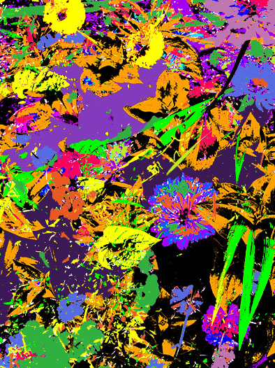 Flooded Garden by John  Puntenney 