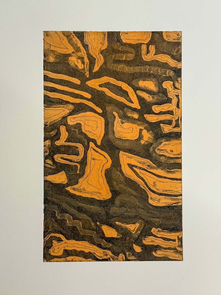 Spritz by Kumudini Hajra 