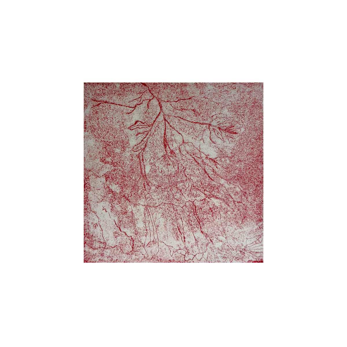 Juliet's heart by Kumudini Hajra, Image 1.