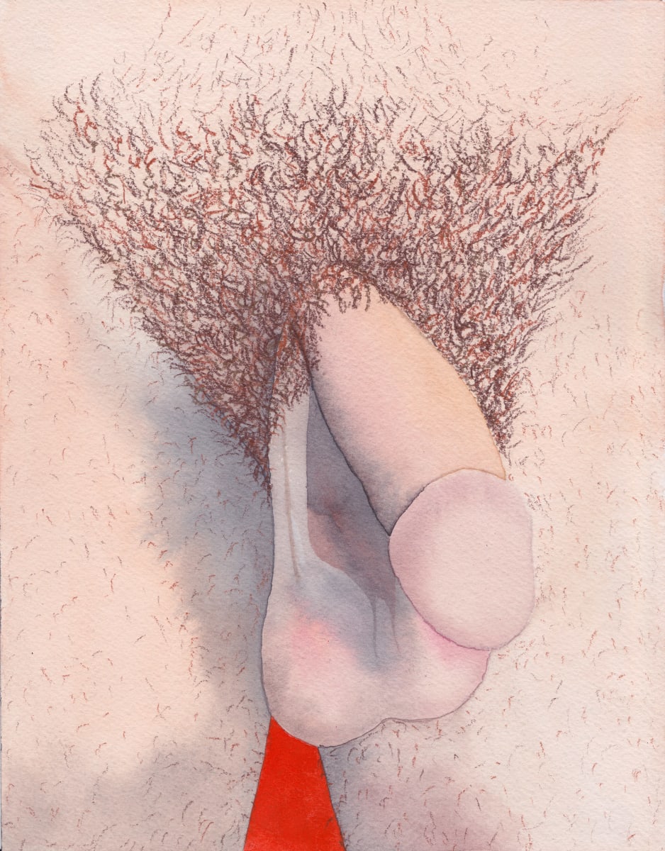 Penis Portrait IX by Nick Naber, Image 1.