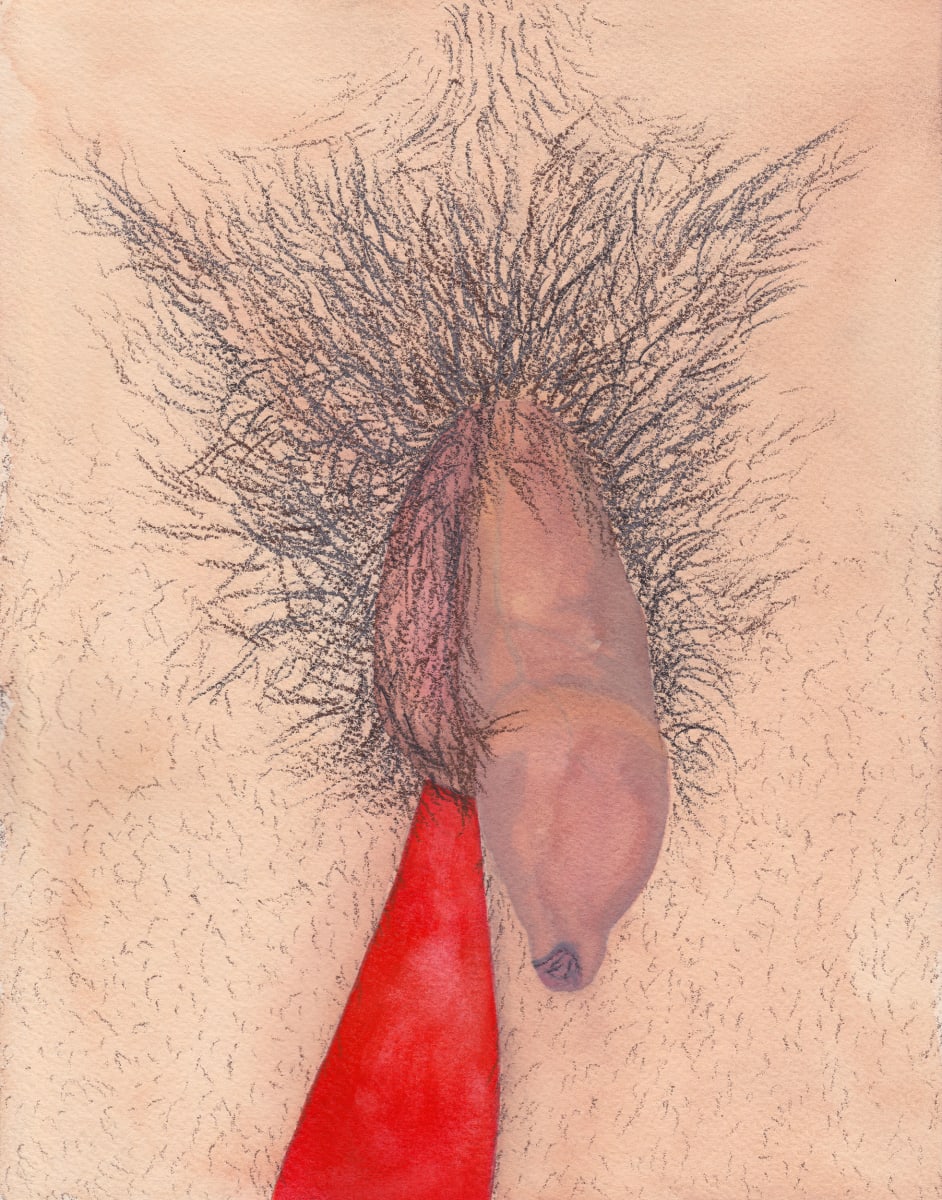 Penis Portrait XIII by Nick Naber, Image 1.