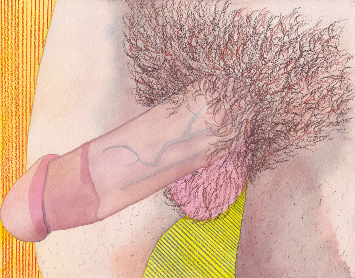 Penis Portrait XIV by Nick Naber, Image 1.