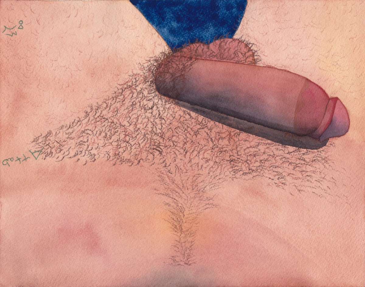 Penis Portrait XXV by Nick Naber, Image 2.