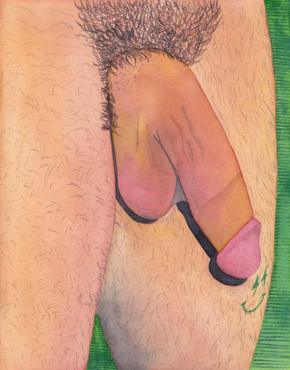 Penis Portrait XXXVIII by Nick Naber 