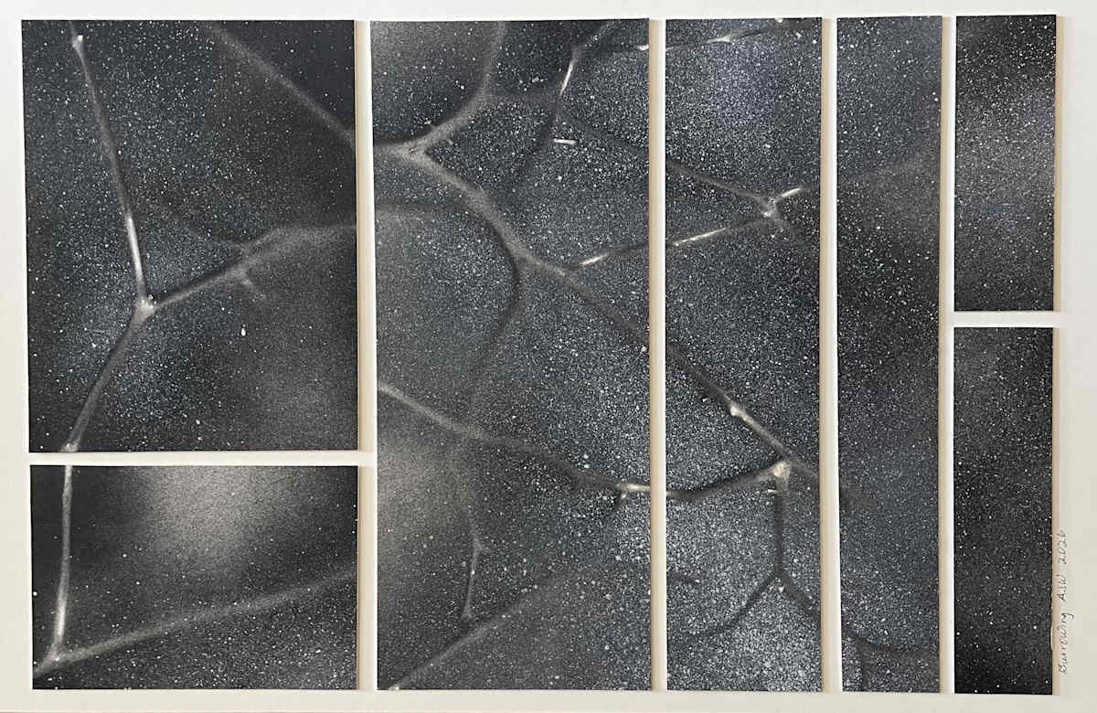 Burrowing by Ann Jones-Weinstock, Image 1.