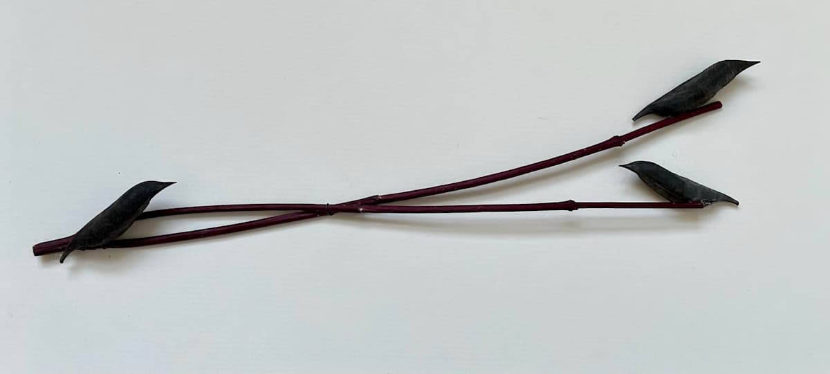 Rebalancing by Ann Jones-Weinstock, Image 1.