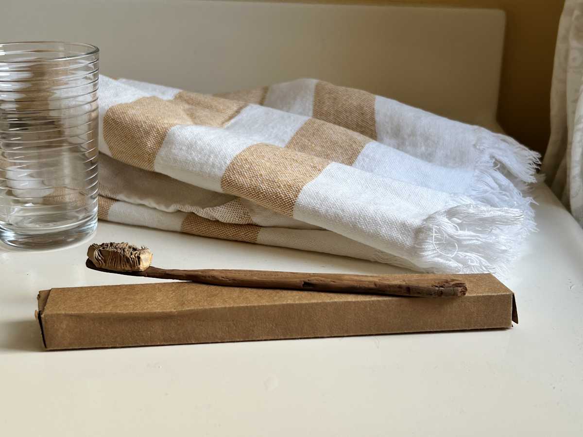 All-Natural Toothbrush by Ann Jones-Weinstock, Image 1.