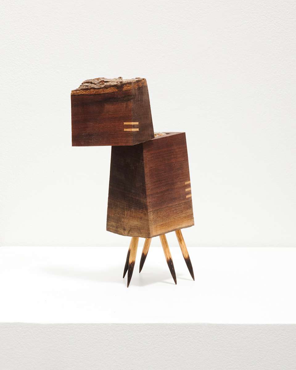 Bison Seed Keeper 14 by Caite Mae Ramos, Image 1.