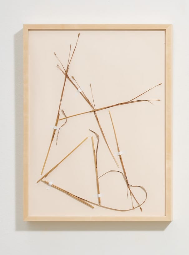 Drawing of a Die-back 1 by Caite Mae Ramos, Image 1.