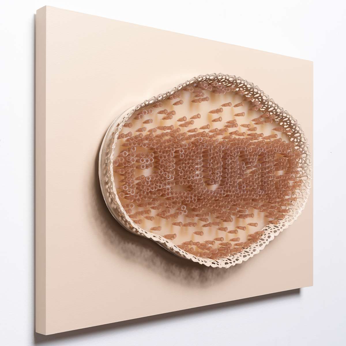 Augmented Reality (PLUMP) by Holly Ballard Martz 