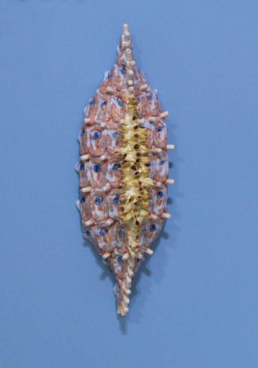 Home Grasses Diatom by Kate Rusek, Image 3.