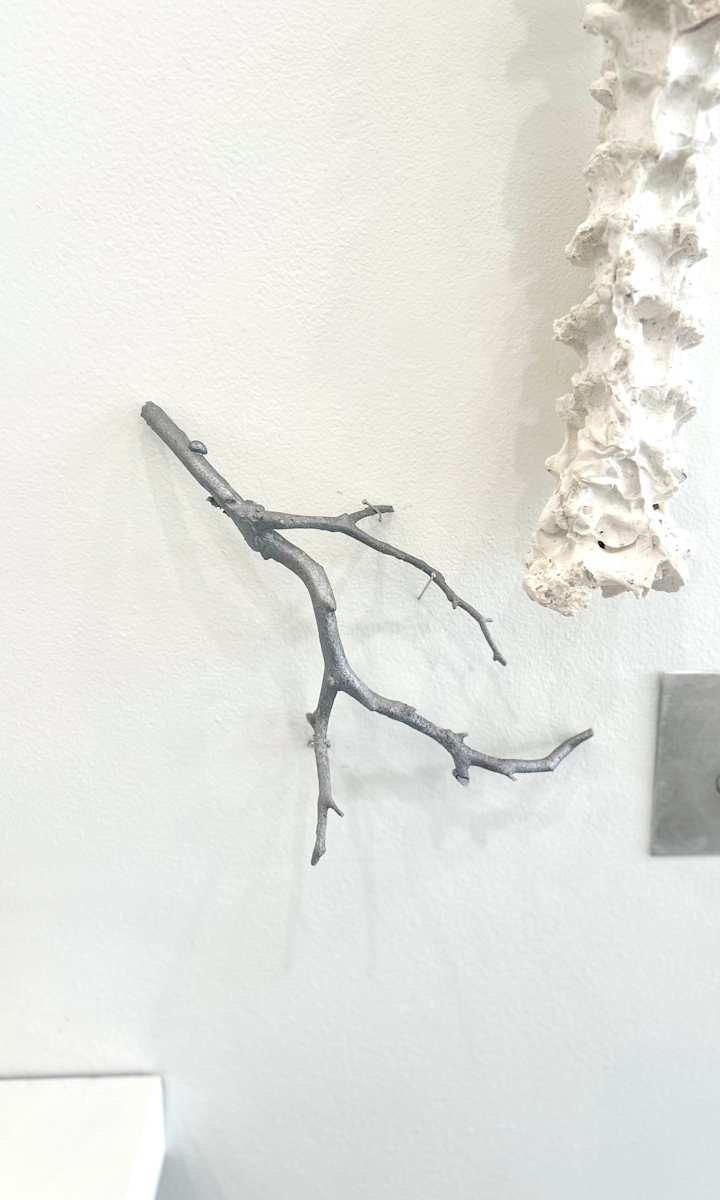Limb by Mary Coss 