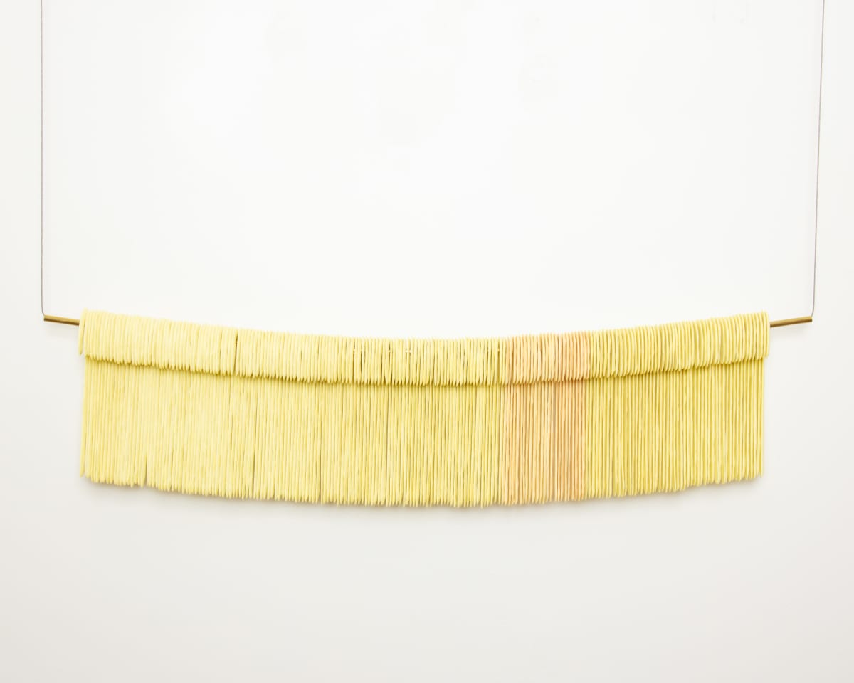 Peach Fuzz by Amanda Salov 