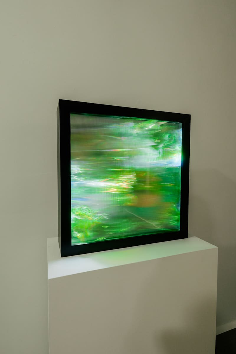 Reduced Landscape: Burn 1 by Maja Petric 