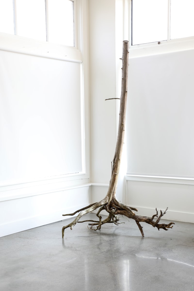 Exhibition Image