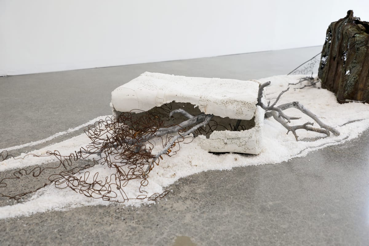 Too Much to Carry (Installation) by Mary Coss 