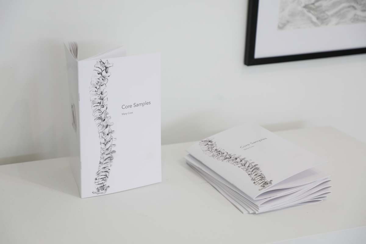 Core Samples zine by Mary Coss 