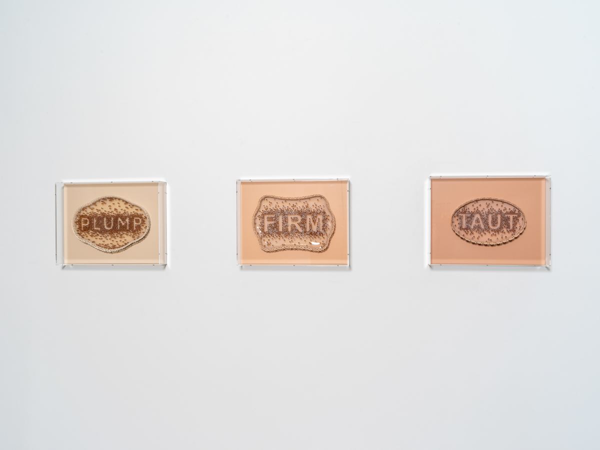 Exhibition Image