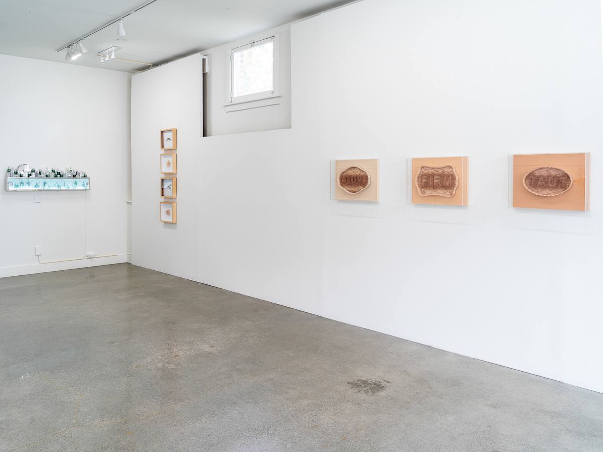 Exhibition Image