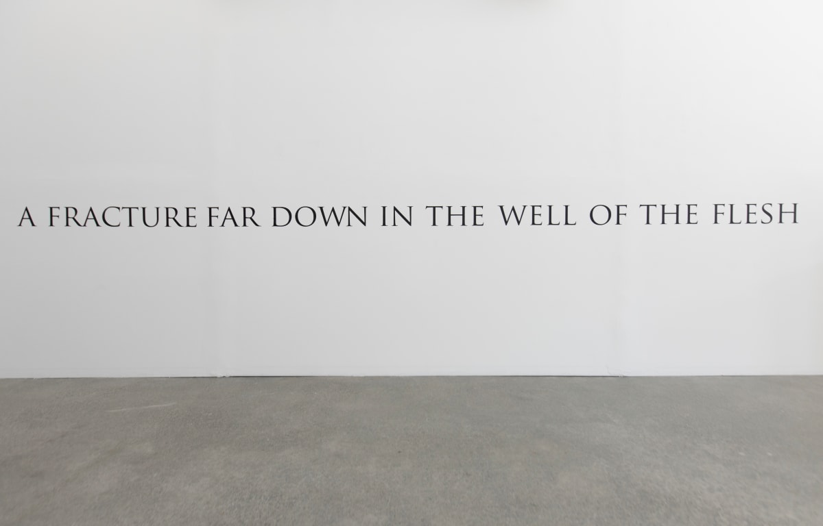 Exhibition Image