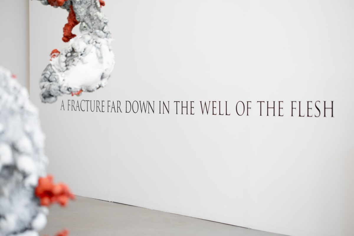 Exhibition Image
