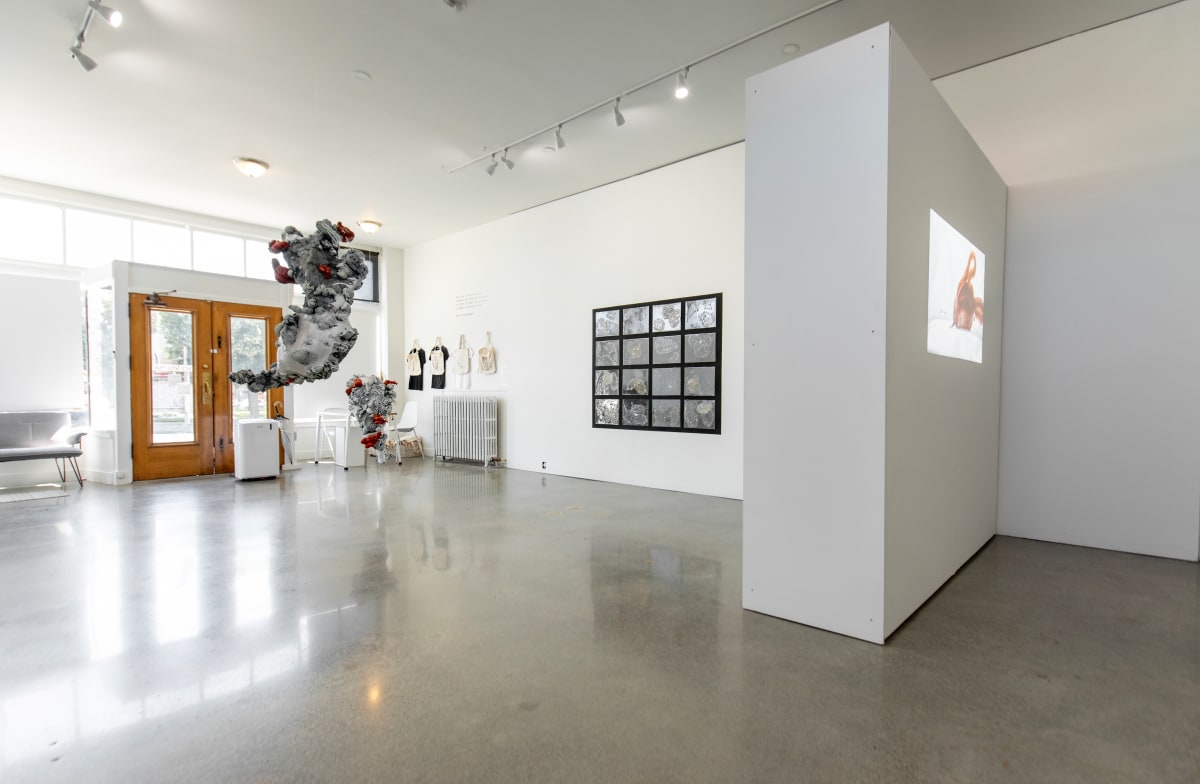 Exhibition Image