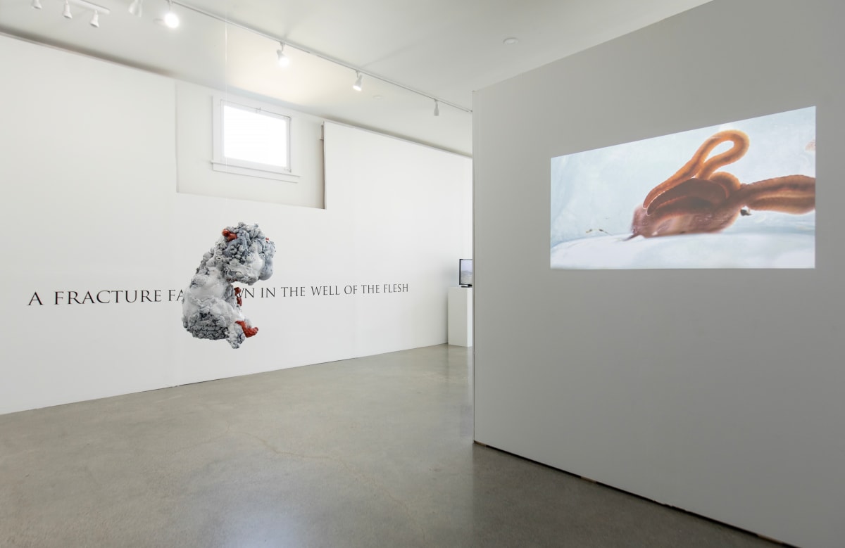 Exhibition Image