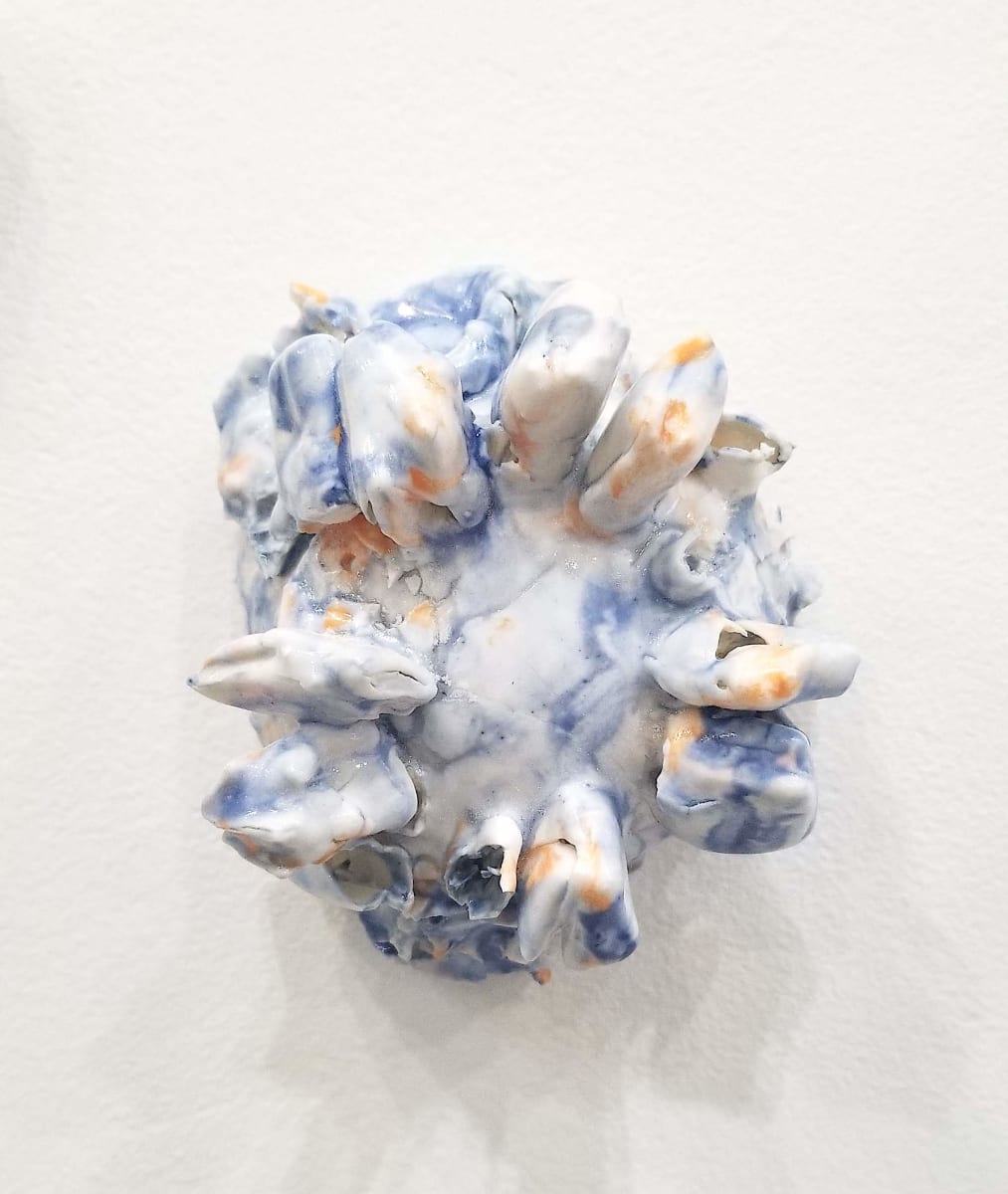 Tunicate Test by Kate Rusek 