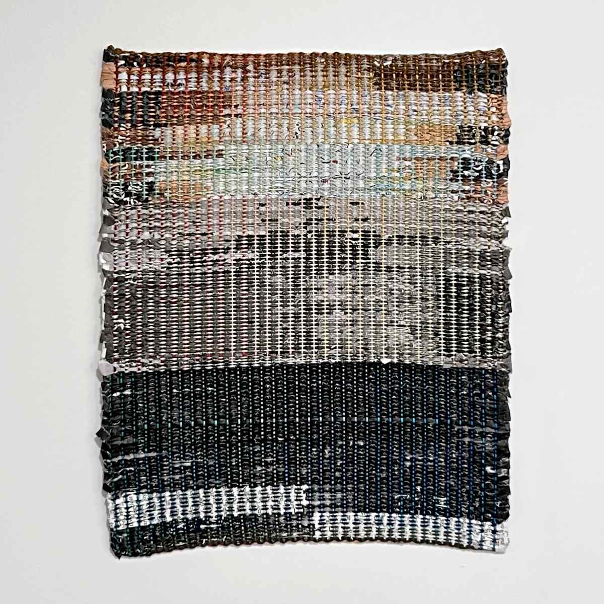 The landscape of possibility/ Remains ours to make/ From the microbial to the geopolitical by Tali Weinberg, Image 1.