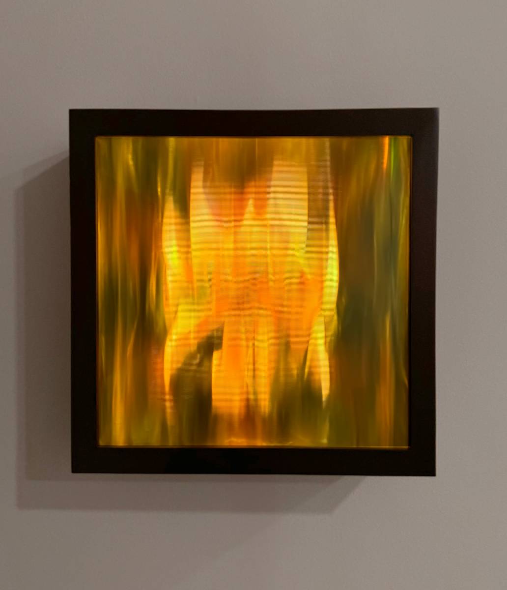 Reduced Landscape: Burn 1 by Maja Petric 